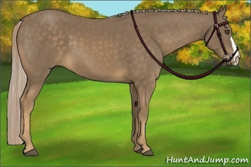 Horse Color:Chocolate Palomino