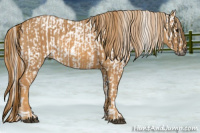 Horse Color:Gray White Spotted Black  Brindle