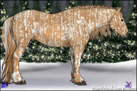 Horse Color:Gray White Spotted Black Ice  Brindle