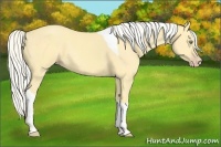 Horse Color:Silver Amber Cream Champagne Dun Tobiano