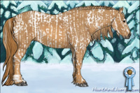 Horse Color:Gray White Spotted Black  Brindle