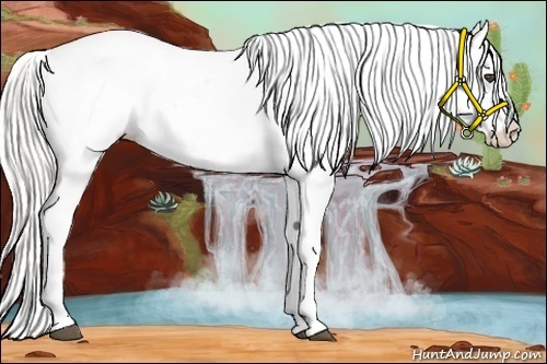 Horse Color:Silver Buckskin Tobiano Varnish