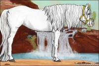 Horse Color:Silver Buckskin Tobiano Varnish 