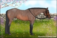 Horse Color:Bay Roan 