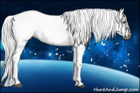 Horse Color:Gray White Spotted Black Blanket