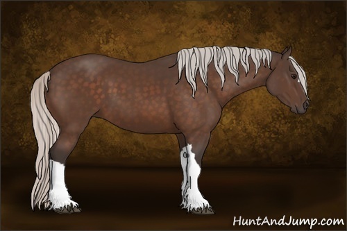 Horse Color:Silver Bay 