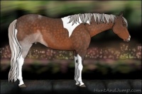 Horse Color:Silver Bay Tobiano 