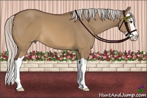 Horse Color:Silver Brown Dun Splash 