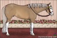 Horse Color:Silver Brown Dun Splash