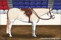 Horse Color:Buckskin Pearl Dun Splash 