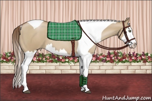 Horse Color:Grullo Pearl Splash Tobiano 