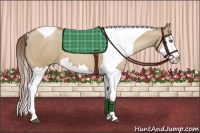 Horse Color:Grullo Pearl Splash Tobiano 