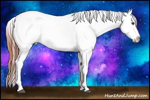Horse Color:Brown Dun Near Leopard 