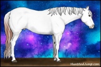 Horse Color:Brown Dun Near Leopard 