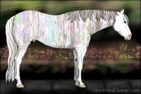 Horse Color:Silver Smoky Black Ice Splash
