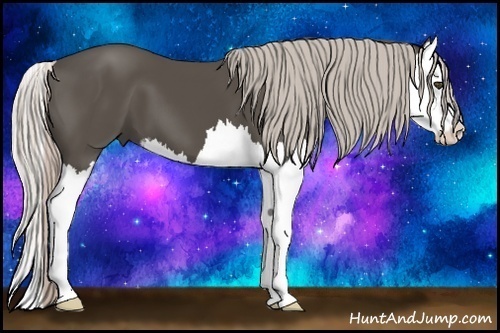 Horse Color:Silver Black Sabino Splash 