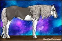 Horse Color:Silver Black Sabino Splash 