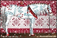 Horse Color:Brown Splash Appaloosa Rabicano 