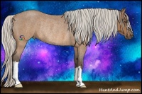 Horse Color:Silver Brown Roan Rabicano 