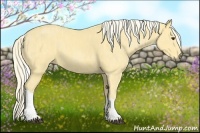 Horse Color:Palomino Tobiano  Brindle