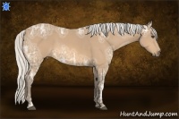 Horse Color:Silver Buckskin Ice 