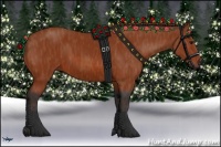 Horse Color:Bay  Brindle