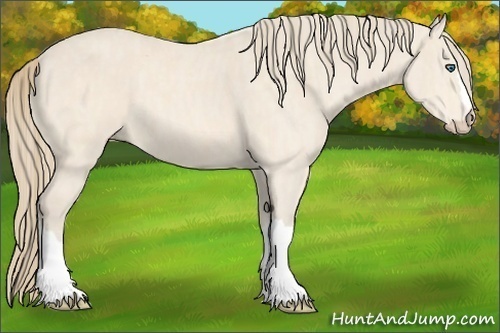 Horse Color:Perlino Brindle