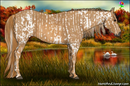 Horse Color:Gray Bay Brindle
