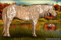 Horse Color:Gray Bay  Brindle