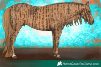 Horse Color:Liver Chestnut  Brindle