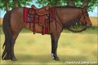Horse Color:Bay  Brindle