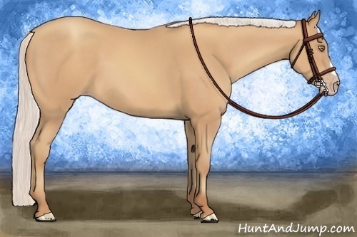 Horse Color:Silver Amber Champagne Frame 