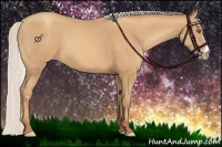 Horse Color:Silver Amber Champagne Frame 