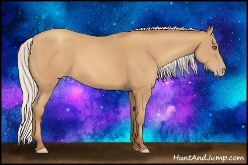 Horse Color:Silver Amber Champagne Frame 
