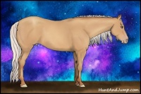 Horse Color:Silver Amber Champagne Frame 