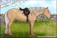Horse Color:Silver Amber Champagne Frame 