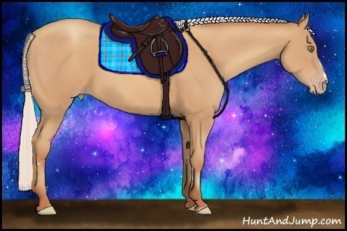 Horse Color:Silver Amber Champagne Frame 