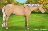 Horse Color:Silver Amber Champagne Frame 