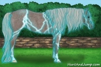 Horse Color:Thunderstruck Silver Blue Roan 