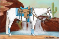 Horse Color:Chestnut Sabino Splash 