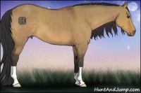Horse Color:Bay Dun