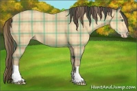 Horse Color:Plaid  Amber Cream Champagne 