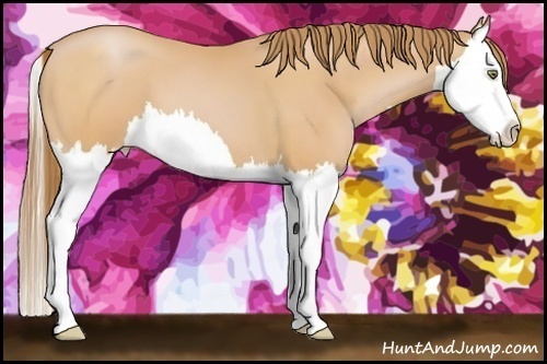 Horse Color:Bay Pearl Splash 