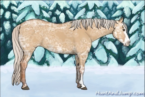 Horse Color:Silver Bay Ice Dun Splash Frame