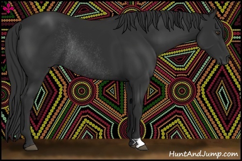 Horse Color:Liver Chestnut Rabicano 