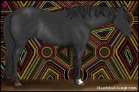 Horse Color:Liver Chestnut Rabicano 