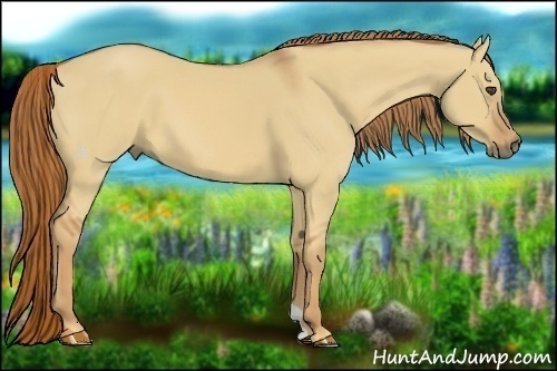 Horse Color:Red Dun 