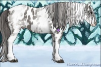 Horse Color:White Spotted Grullo Near Leopard Rabicano 