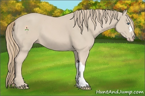 Horse Color:Smoky Creme 