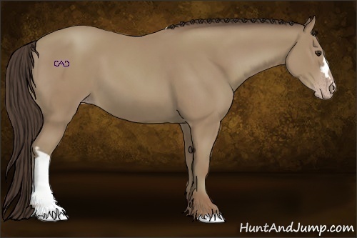 Horse Color:Classic Champagne Frame
